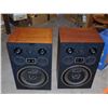 Image 1 : Frankenstein Speakers Model SA445 Spectra Phase Coaxial 15" Dukane