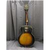 Image 6 : Harmony Made in USA S-66-AP Arched Top Semi Hollow Acoustic Guitar