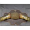 Image 3 : Mounted Set of Bull Horns with 17" Span