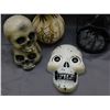 Image 2 : Lot of 4pcs Halloween Decorations Skulls, Raven / Crows