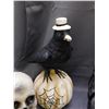 Image 4 : Lot of 4pcs Halloween Decorations Skulls, Raven / Crows