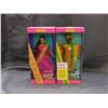 Image 1 : Lot of 2 Dolls of the World Ghanian Barbie & Indian Barbie NIB