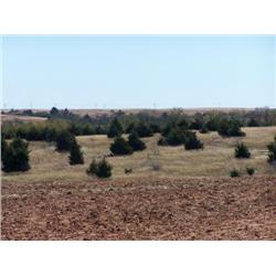 160+/- Acres - NE/4 20-24-8  Garfield Co., OK