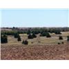 Image 1 : 160+/- Acres - NE/4 20-24-8  Garfield Co., OK