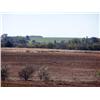 Image 2 : 160+/- Acres - NE/4 20-24-8  Garfield Co., OK