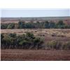 Image 4 : 160+/- Acres - NE/4 20-24-8  Garfield Co., OK