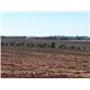 Image 5 : 160+/- Acres - NE/4 20-24-8  Garfield Co., OK