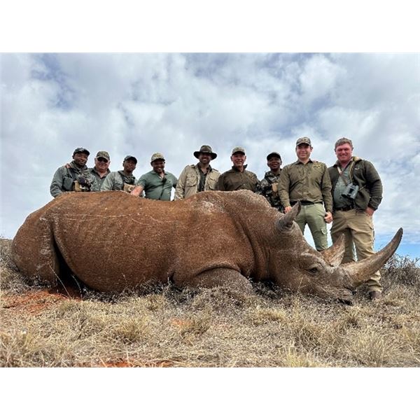 5-Day Rhino Darting Experience