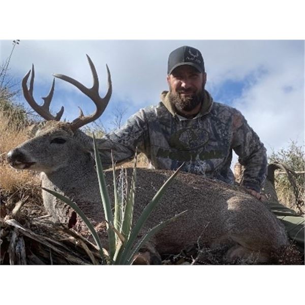 Arizona Coues or Mule Deer Hunt