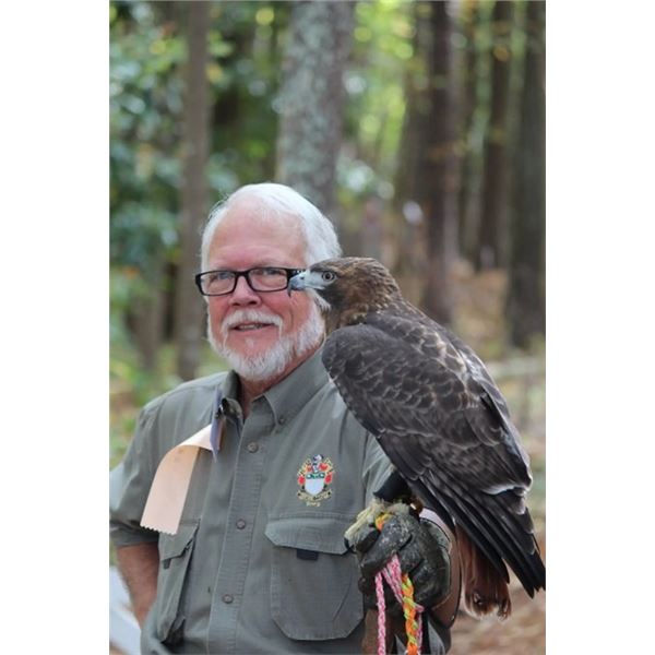 Falconry Experience