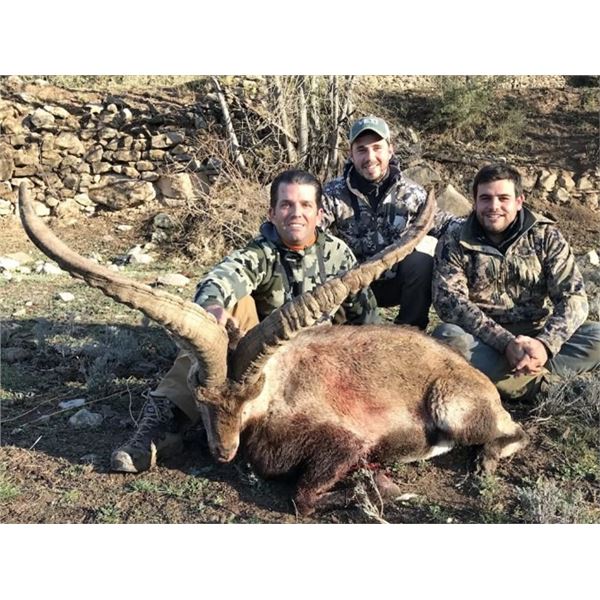 Wild Hunting Spain – Chamois