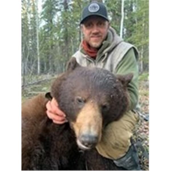 Black Bear Hunt in the Yukon