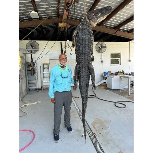 Alligator Hunt – Florida