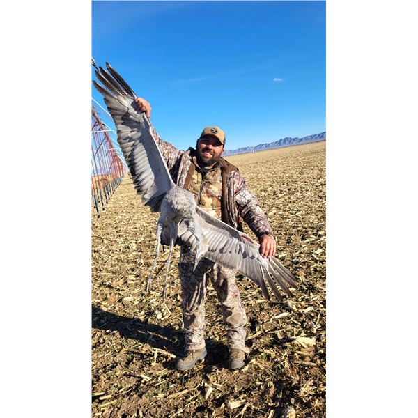 3-day Sandhill Crane Hunt