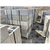 Image 6 : 8" STANDARD CONCRETE BLOCKS