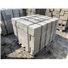 Image 6 : 8" STANDARD & SOLID CONCRETE BLOCKS