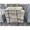 Image 6 : 8" STANDARD & SOLID CONCRETE BLOCKS