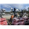 Image 3 : 2015 GENERAC MAGNUM Light Tower