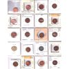 Image 1 : Errors! Canada & USA 1-cent 1926-1975 Bulk Collection in 20-Pocket Sheet 20pcs.