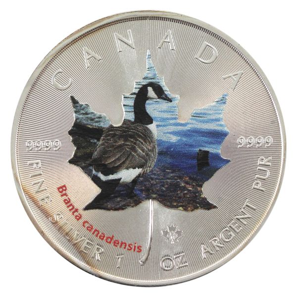 2014 $5 SML w/ Coloured Loon 'Branta canadensis'. 1oz .9999 Silver (Tax Exempt)