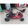 Image 1 : Dune Buggy All Terrain - Mfg. Zhejiang Kangdi - Runs