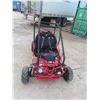 Image 2 : Dune Buggy All Terrain - Mfg. Zhejiang Kangdi - Runs