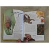 Image 8 : 7 Field Guide Books ; Insects, Whales, 2 Dolphins, Fossils, Wildflowers, Trees, 