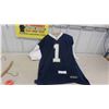 Image 1 : Winnipeg Blue Bombers Charles Roberts Jersey Sz XL