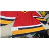 Image 3 : 6 Hockey Jerseys New in Bag - All SZ XL