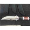 Image 2 : 6 Brand New Hunting Knives - 2 Style, US Steel