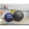 Image 1 : 2 Exercise Balls 