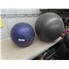 Image 3 : 2 Exercise Balls 