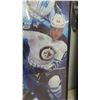 Image 8 : 2 WPG Jets Framed Pictures ; Teemu Selanne 22.5" x 27" with Autograph & 