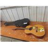 Image 1 : Raven Acoustic Guitar with Hard Case 