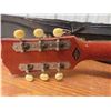 Image 8 : Raven Acoustic Guitar with Hard Case 