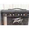 Image 3 : Peavey Model Regen 12 Watt Amplifier