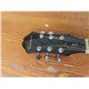 Image 7 : Epiphone Model DR 100 EB Acoustic Guitar