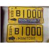 Image 2 : 5 Manitoba License Plates , Universal Brush Hand Guards, Handle Bar Gloves