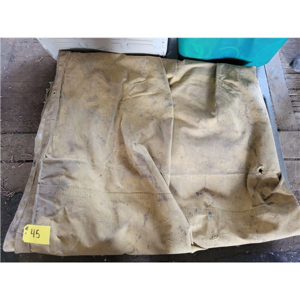 Canvas tarp (minor holes)