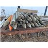 Image 4 : Approx. 30 sharpened wood posts