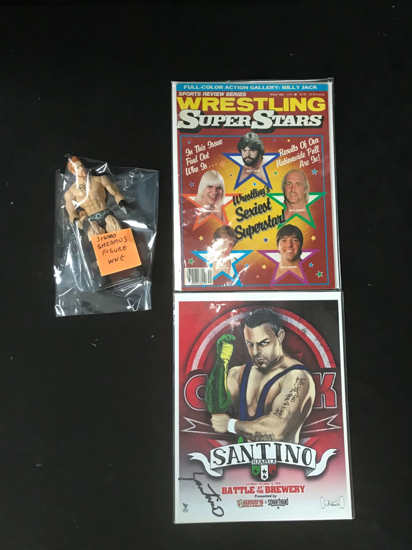 Wwf Dc WWF COLLECTIBLES LOT (SIGNED FIGURE, COMICS AND MORE)