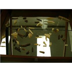 Large collection of assorted artifacts and teeth, etc. (3)