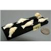 Image 1 : Set of 6 carved ivory seals on baleen done by Thomas Pushruk when 80 years old from King Island- bal