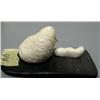 Image 3 : Carved ivory mother and baby walrus on baleen done by Robert Apatiki- baleen is 2-1/2" by 1-1/2"
