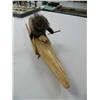 Image 1 : 18" wood kayak with seal skin man and seal (3)
