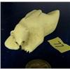 Image 1 : 3-1/4" crawling polar bear with baleen nose done by Mangoopaghok (3)