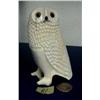 Image 1 : 4-3/4" white ivory owl- largest one ever seen by Duane by Kevin Oozevasuk(?) from Gambell, Alaska (3