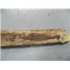 Image 3 : 12-1/2" fossilized ivory sled runner (3)