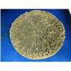 Image 10 : Very interesting lot of: 6 baskets, whale vertebrae, ivory chunk necklace, 11-1/2" cast totem, 5-1/2