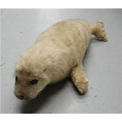 Stuffed baby seal pillow, ca. 1920 (3)